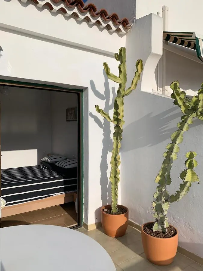 Bright Apartment With Pool In Tenerife South 德尔锡伦西奥海岸